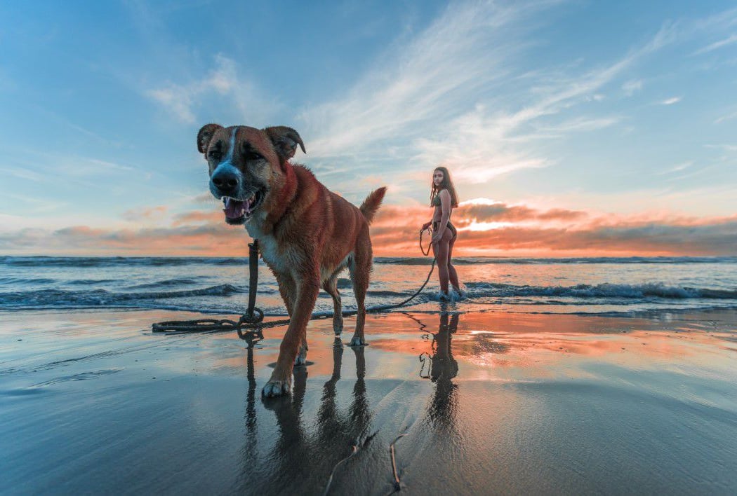 Stride by the Tide 5